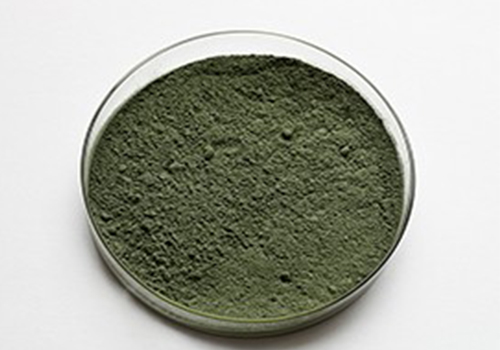 哈茨木霉 哈茨木霉